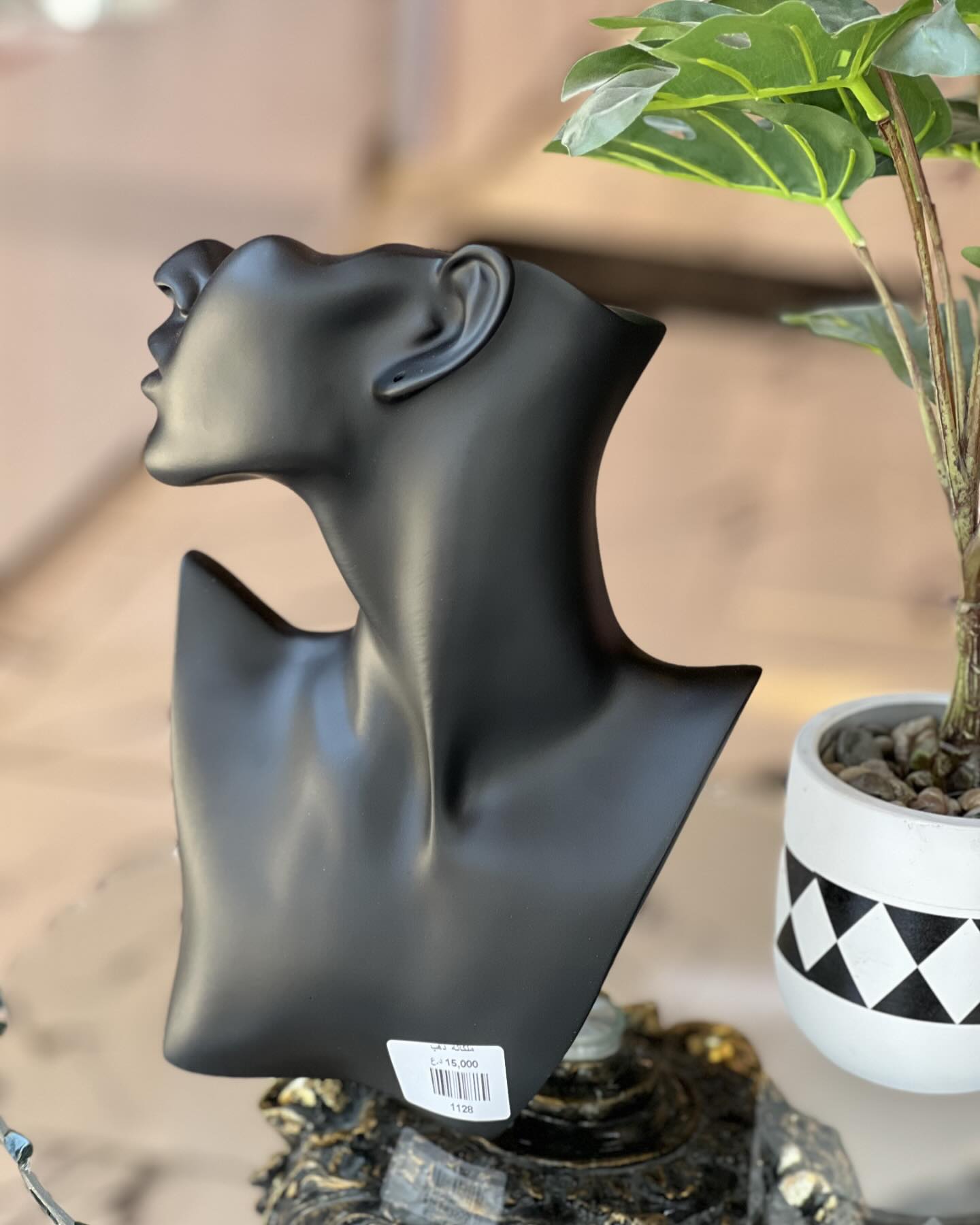 Présentoir à Bijoux Élegant pour Boucles d'Oreilles et Colliers