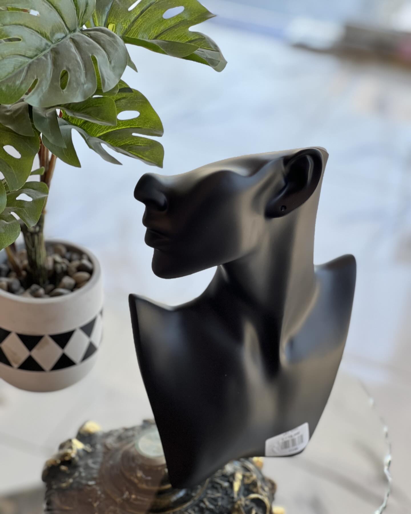 Présentoir à Bijoux Élegant pour Boucles d'Oreilles et Colliers
